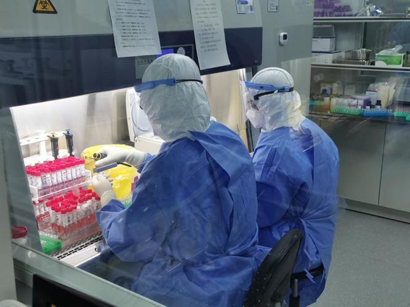 揭秘细胞实验服务：推动生物技术新突破