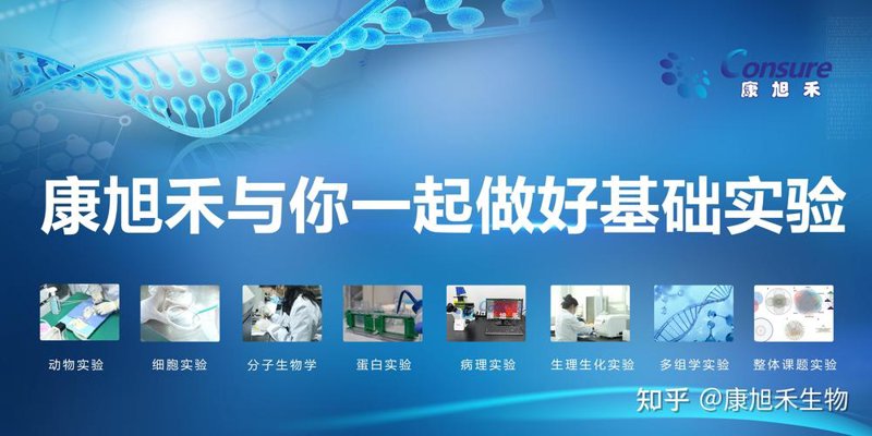 探索未知：临床前研究服务在新药开发中的重要性