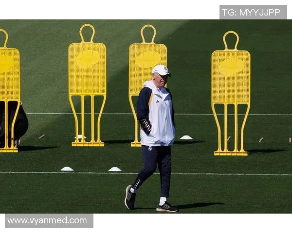 基于足球球星类型指标分析球员表现与能力差异的多维度研究