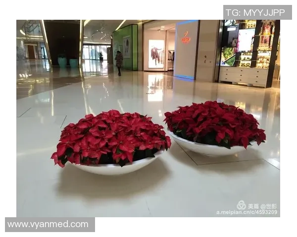 足球明星圣诞节庆祝活动精彩纷呈第一弹球场上的欢乐与温馨共庆节日时光